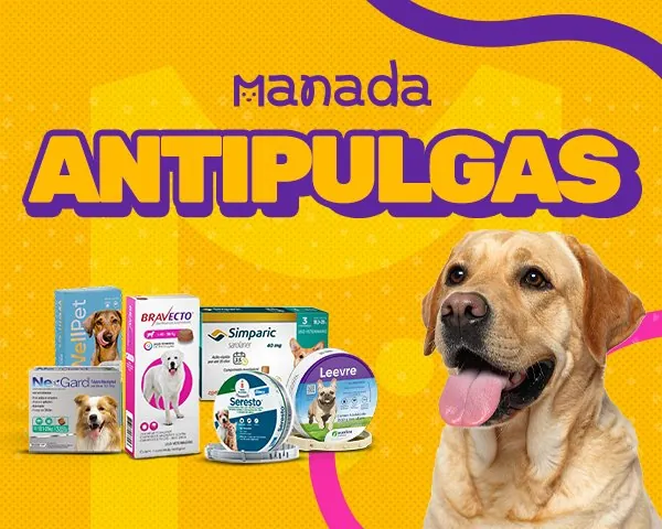 Antipulgas: linha de prevenção e tratamento
