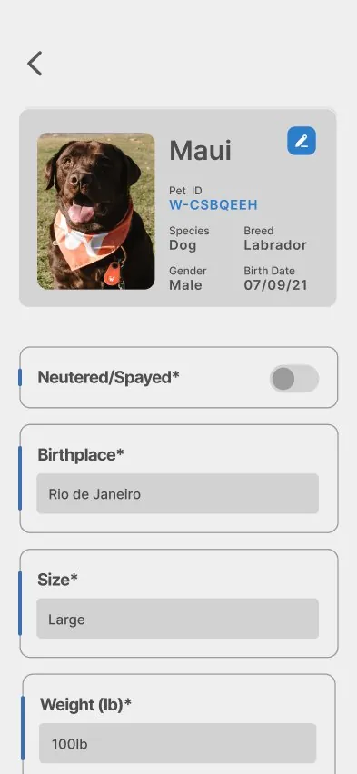 Ficha do pet
