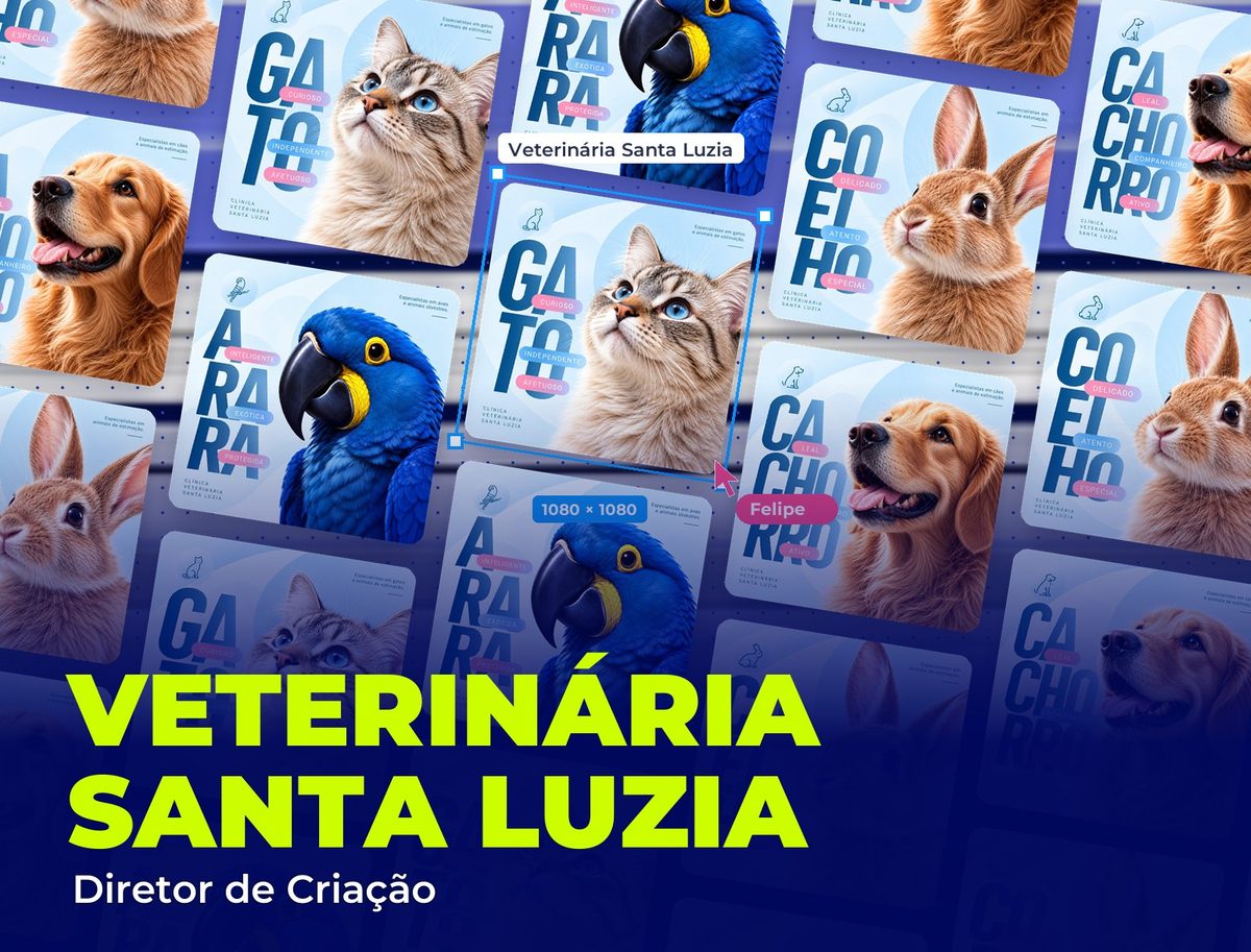 Veterinária Santa Luzia