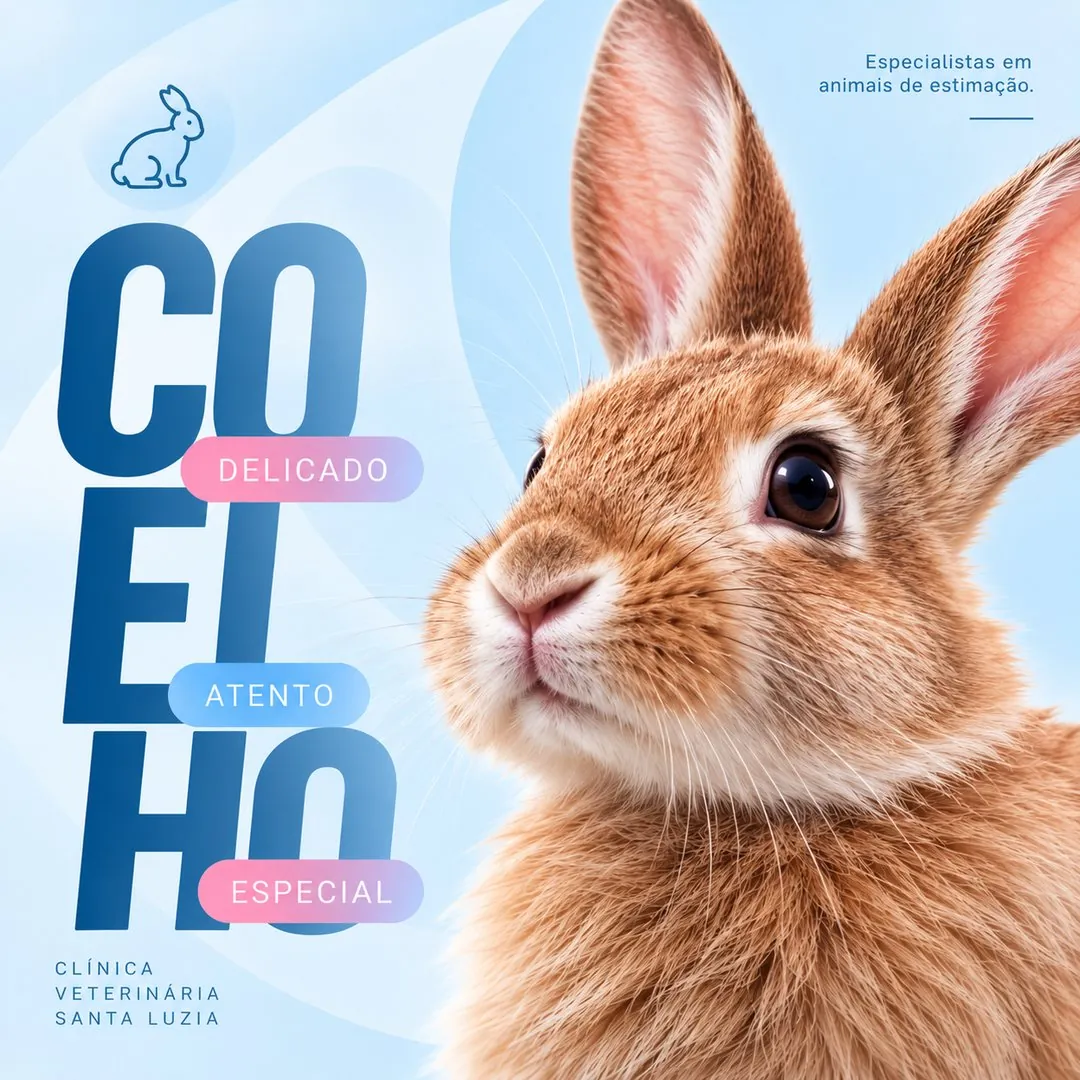 Conejo: delicado, atento, especial