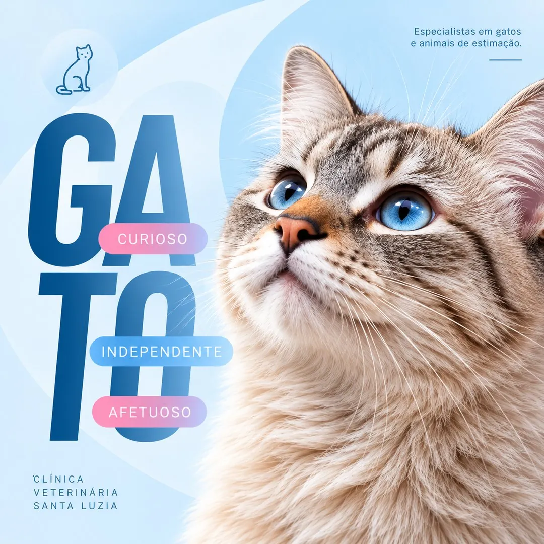 Gato: curioso, independiente, cariñoso